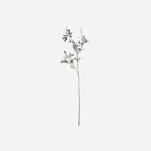 Artificial branch, HDOlive, Grøn